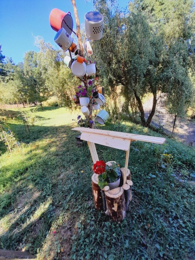 Casa De La Ferma Mariuca Villa Berbesti Luaran gambar