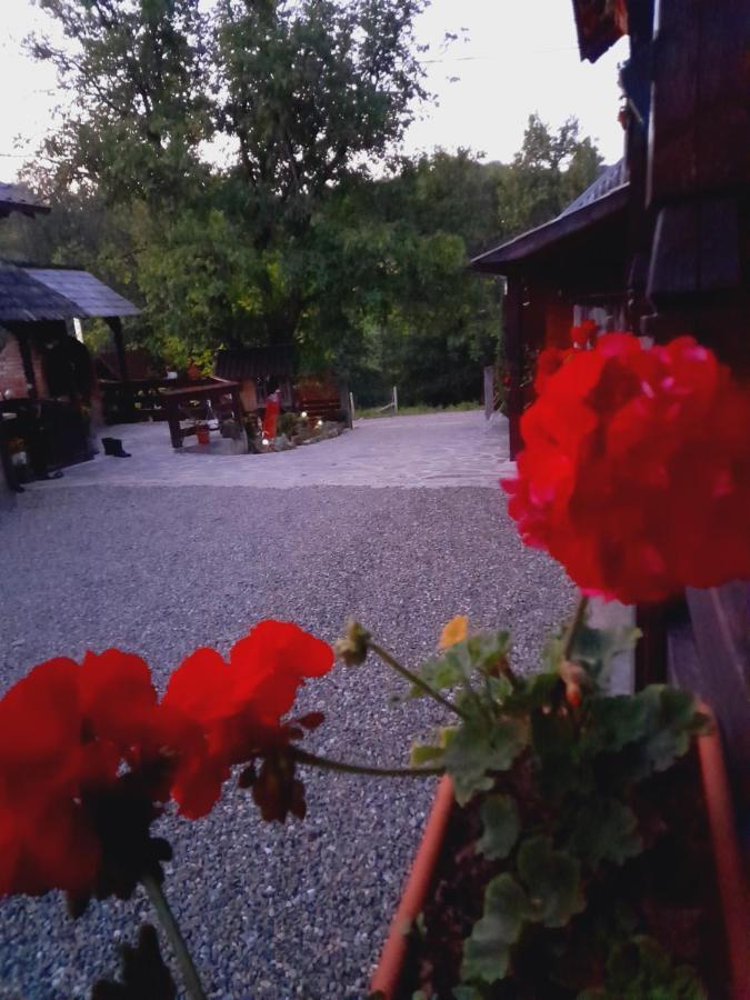 Casa De La Ferma Mariuca Villa Berbesti Luaran gambar