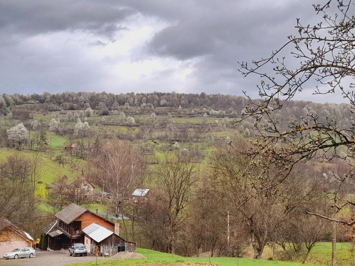 Casa De La Ferma Mariuca Villa Berbesti Luaran gambar