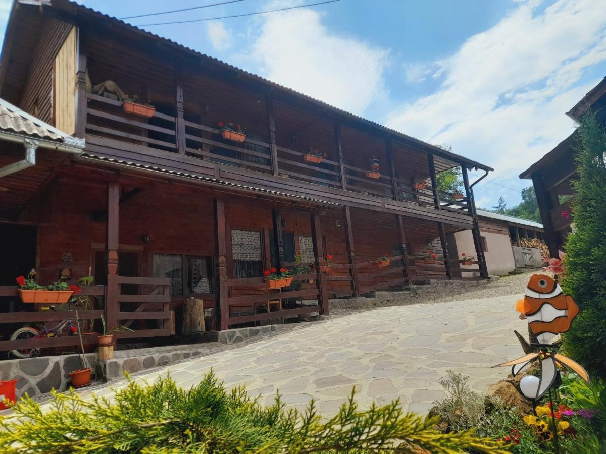 Casa De La Ferma Mariuca Villa Berbesti Luaran gambar